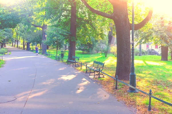 Park Recreation Area City Green Lawn Tree Sunny Morning — Stock Photo, Image