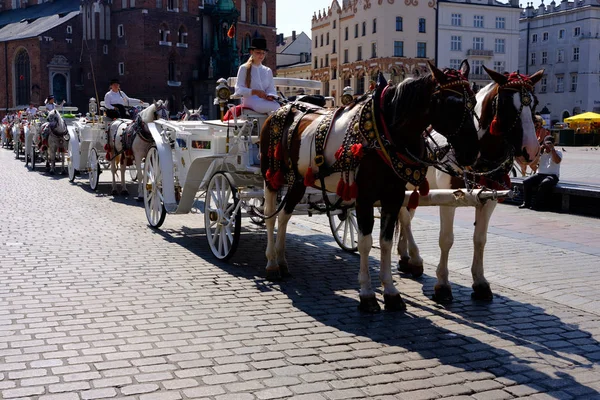 Krakow Polónia Julho 2018 Carruagens Cavalos Praça Principal Cracóvia Dia — Fotografia de Stock