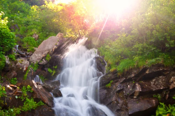 Cascade Été Verte Soleil Jour Lumineux — Photo