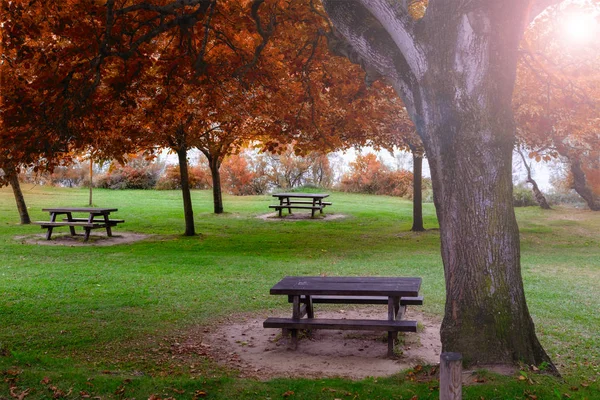 Piknik Asztal Őszi Parkban Napsütéses Napon — Stock Fotó
