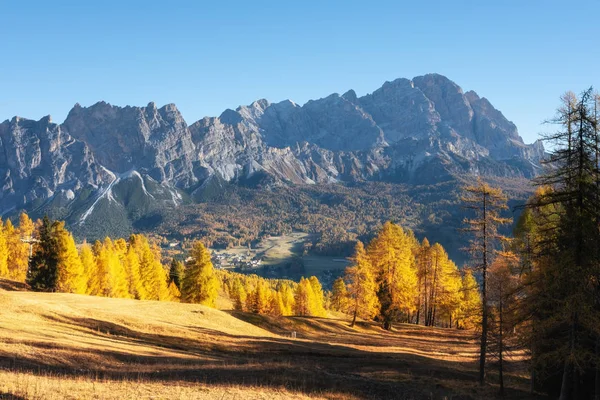 Barvy Podzimu Lese Jedle Val Funes Bolzano Jižní Tyrolsko Dolomity — Stock fotografie