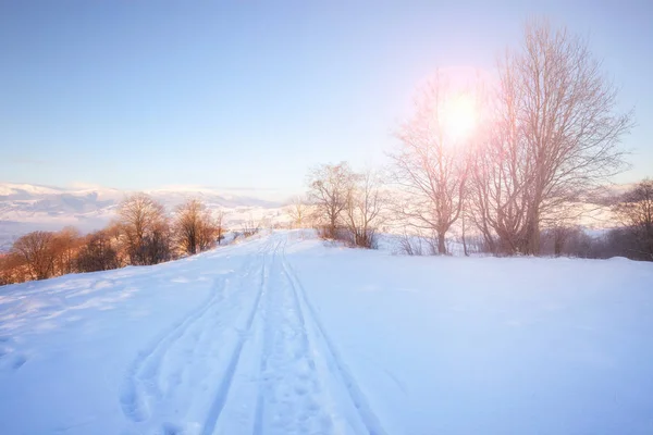 冬天山风景 在阳光明媚的日子 雪山高山丘陵 美丽的冬天自然 — 图库照片