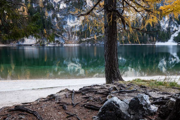 Herbstkulisse Der Pragser Seen Lago Prags Vor Alpinem Hintergrund Südtirol — Stockfoto