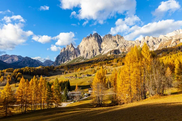 Los Colores Del Otoño Bosque Abeto Val Funes Bolzano Tirol —  Fotos de Stock