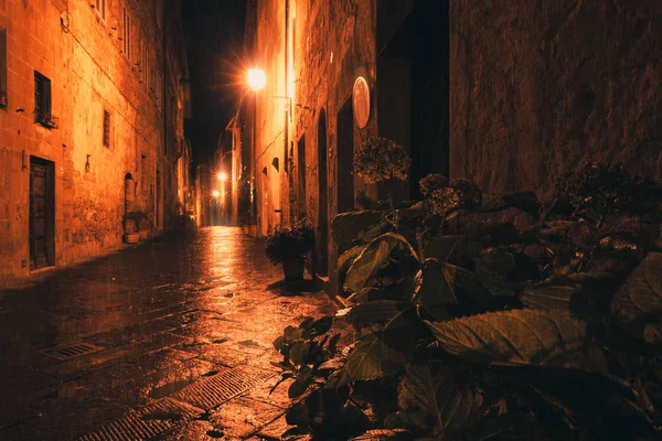 Gamla Europeiska Upplyst Gata Regnig Natt Pienza Toscana Italien — Stockfoto