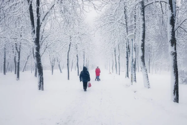 Bänkar Snöiga Vinterparken Morgonen — Stockfoto