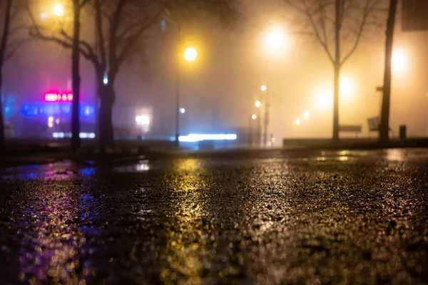 Allee Des Abends Nebligen Parks Mit Brennenden Laternen Bäumen Und — Stockfoto