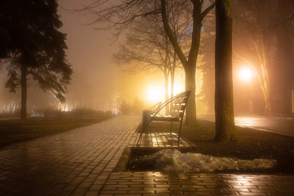 Allee Des Abends Nebligen Parks Mit Brennenden Laternen Bäumen Und — Stockfoto
