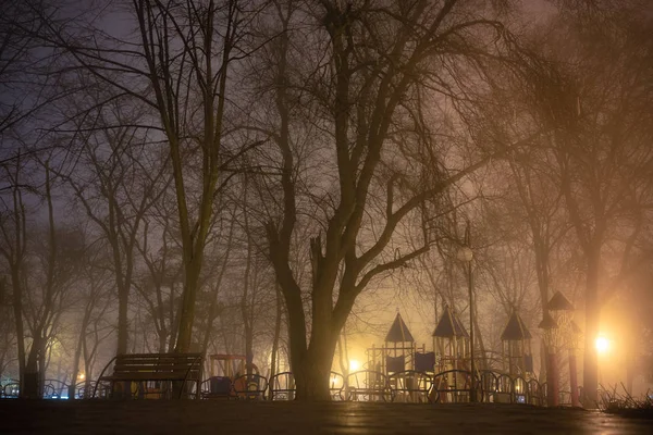 Sokak Fenerler Ağaçlar Banklar Yanma Ile Akşam Puslu Park Gece — Stok fotoğraf