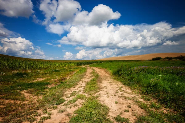 Largo Sinuoso Camino Rural Cruza Las Colinas Los Campos Vista — Foto de Stock