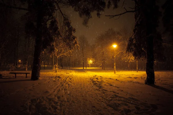 Nächtliche Winterlandschaft Verschneite Gasse Des Beleuchteten Stadtparks — Stockfoto