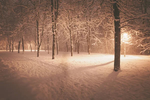 Paisaje Nocturno Invierno Callejón Nevado Del Parque Iluminado Ciudad —  Fotos de Stock