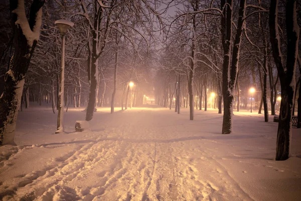Gece Kış Manzarası Işıklı Şehir Parkı Karlı Sokak — Stok fotoğraf