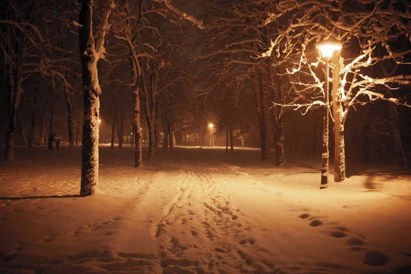 Nächtliche Winterlandschaft Verschneite Gasse Des Beleuchteten Stadtparks — Stockfoto