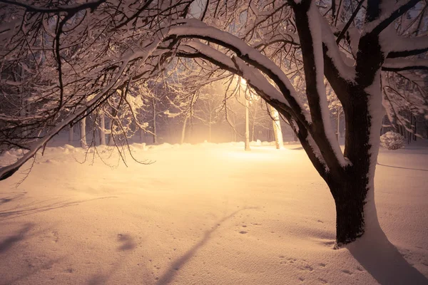 Noční Zimní Krajina Zasněžené Uličky Města Osvětleny Park — Stock fotografie