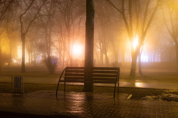 Alley Evening Misty Park Burning Lanterns Trees Benches Night City — Stock Photo, Image