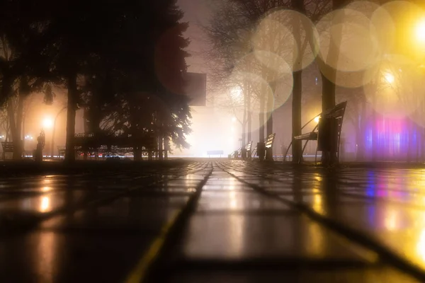 Allee Des Abends Nebligen Parks Mit Brennenden Laternen Bäumen Und — Stockfoto