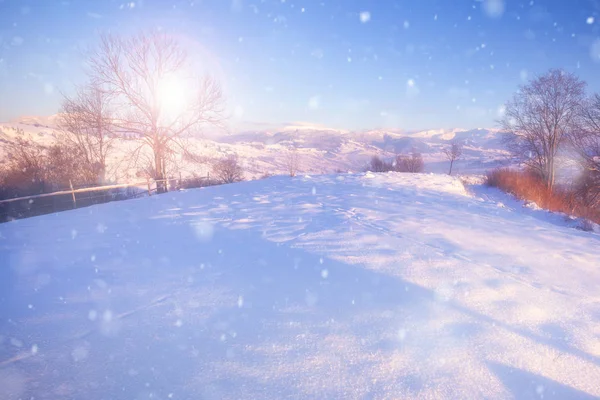 Bela Paisagem Inverno Com Árvores Cobertas Neve Montanhas Fundo — Fotografia de Stock