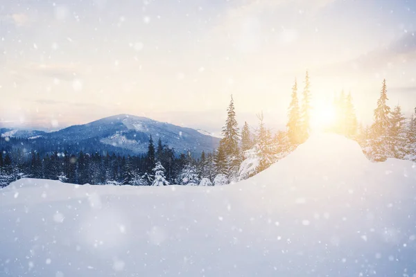 Vackert Vinterlandskap Med Snö Täckt Träd Och Berg Bakgrunden — Stockfoto