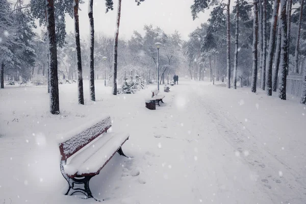 Bänke Winterlich Verschneiten Park Bei Schneefall — Stockfoto