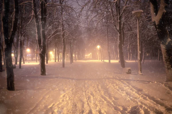 Gece Kış Kar Yağışı Manzara Işıklı Şehir Parkı Karlı Sokak — Stok fotoğraf