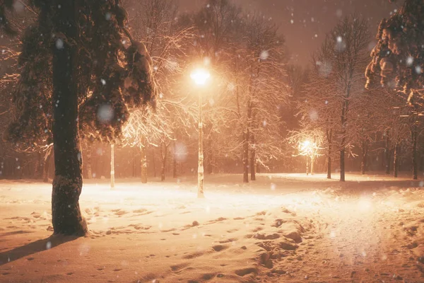 Noche Invierno Nevadas Paisaje Callejón Nevado Del Parque Iluminado Ciudad —  Fotos de Stock