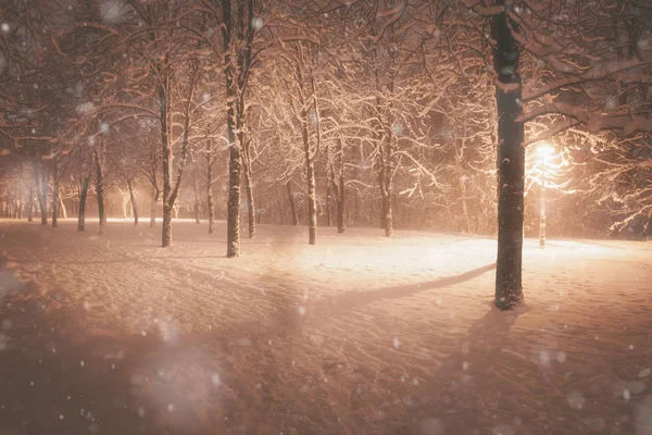 Noche Invierno Nevadas Paisaje Callejón Nevado Del Parque Iluminado Ciudad —  Fotos de Stock