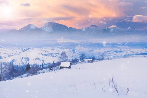 Vackert Vinterlandskap Med Snö Täckt Träd Och Berg Bakgrunden — Stockfoto