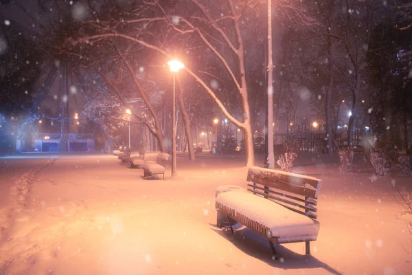 Noche Invierno Nevadas Paisaje Callejón Nevado Del Parque Iluminado Ciudad —  Fotos de Stock