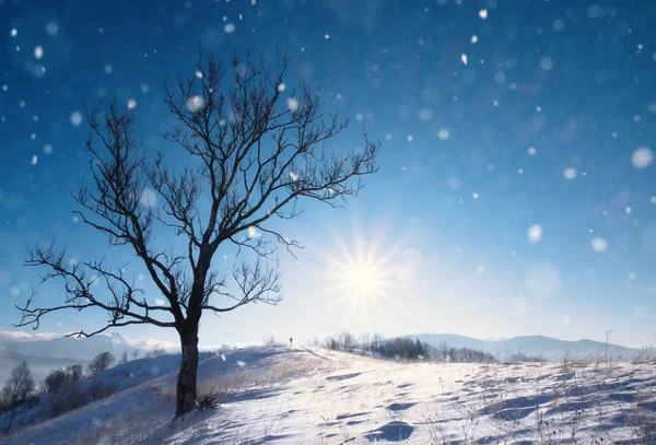 Πανέμορφο Τοπίο Χειμώνα Χιόνι Κάλυψε Δέντρα Και Βουνά Στο Φόντο — Φωτογραφία Αρχείου
