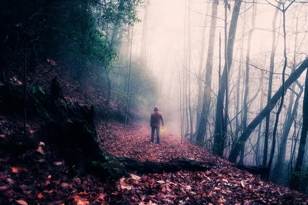 在黑暗的雾蒙蒙的森林里拿着灯笼的人 — 图库照片
