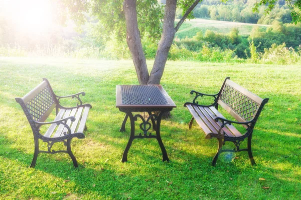 Mesa Cadeiras Verão Verde Jardim Ensolarado — Fotografia de Stock