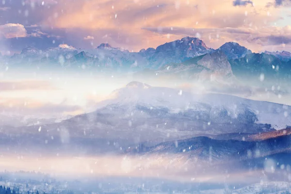 Красивый Зимний Пейзаж Заснеженными Деревьями Горами Фоне — стоковое фото
