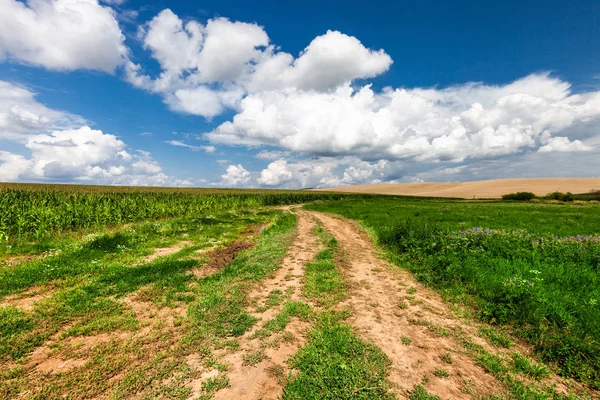 Estrada Rural Longa Sinuosa Atravessa Colinas Campos Vista Panorâmica Campo — Fotografia de Stock