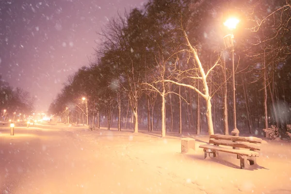 Noche Invierno Nevadas Paisaje Callejón Nevado Del Parque Iluminado Ciudad —  Fotos de Stock