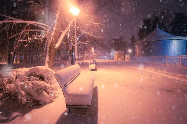 Noche Invierno Nevadas Paisaje Callejón Nevado Del Parque Iluminado Ciudad —  Fotos de Stock