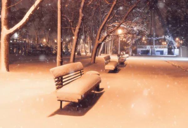 Noche Invierno Nevadas Paisaje Callejón Nevado Del Parque Iluminado Ciudad —  Fotos de Stock