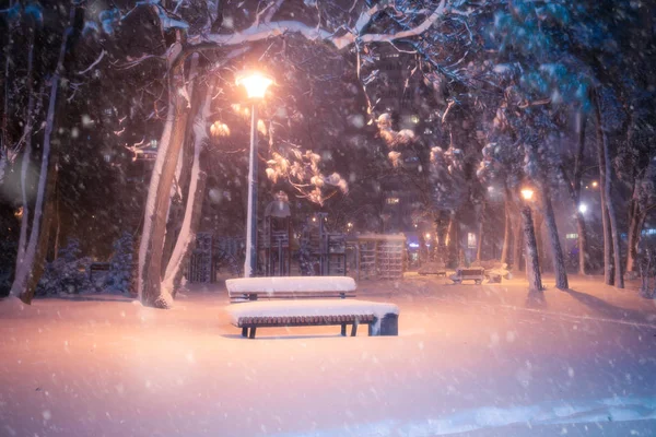 Gece Kış Kar Yağışı Manzara Işıklı Şehir Parkı Karlı Sokak — Stok fotoğraf