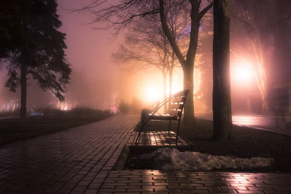 Aleja Park Mglisty Wieczór Spalania Latarnie Drzewami Ławkami Jesienny Park — Zdjęcie stockowe