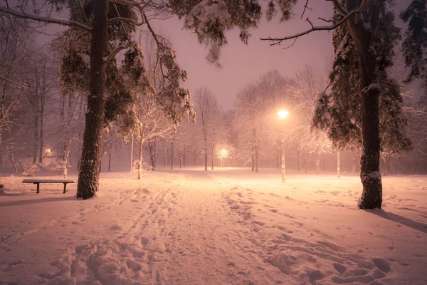 Gece Kış Kar Yağışı Manzara Işıklı Şehir Parkı Karlı Sokak — Stok fotoğraf