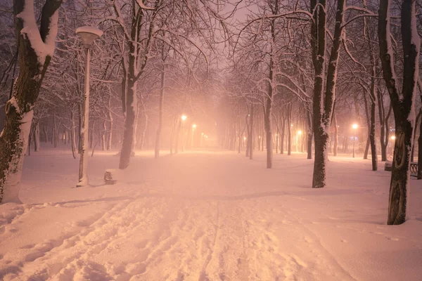 Nacht Winter Schneefall Landschaft Verschneite Gasse Des Beleuchteten Stadtparks — Stockfoto