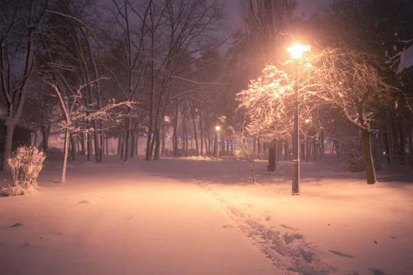 Нічний Зимовий Снігопад Пейзаж Сніжна Алея Міського Освітленого Парку — стокове фото