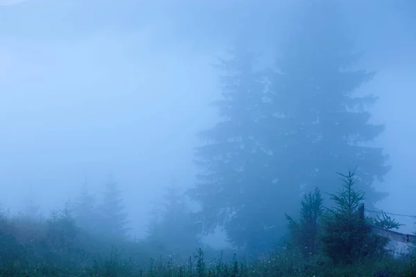 Туманный Пейзаж Горным Лесом Вид Горы Перед Восходом Солнца — стоковое фото