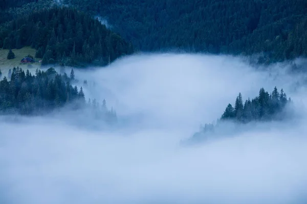 Neblige Landschaft Mit Tannenwald Panoramablick Auf Den Berg Vor Sonnenaufgang — Stockfoto