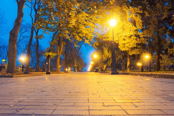 City park alley, bench, trees and lanterns. Night city park landscape — Stock Photo, Image