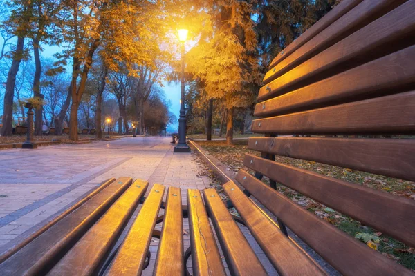城市公园小巷, 长凳, 树木和灯笼。夜城市公园风景 — 图库照片