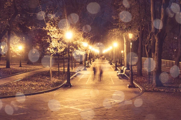 City park alley, ławki, drzewa i latarnie. Noc miasto krajobraz parku — Zdjęcie stockowe
