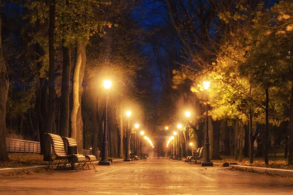 城市公园小巷, 长凳, 树木和灯笼。夜城市公园风景 — 图库照片