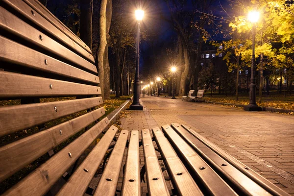 Allée du parc municipal, banc, arbres et lanternes. Paysage du parc nocturne — Photo