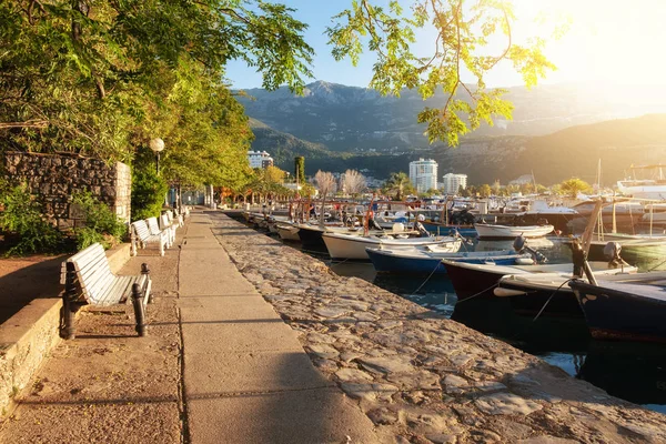 Budva marina lungomare con barche da pesca e motoscafi al soleggiato mattino d'estate — Foto Stock